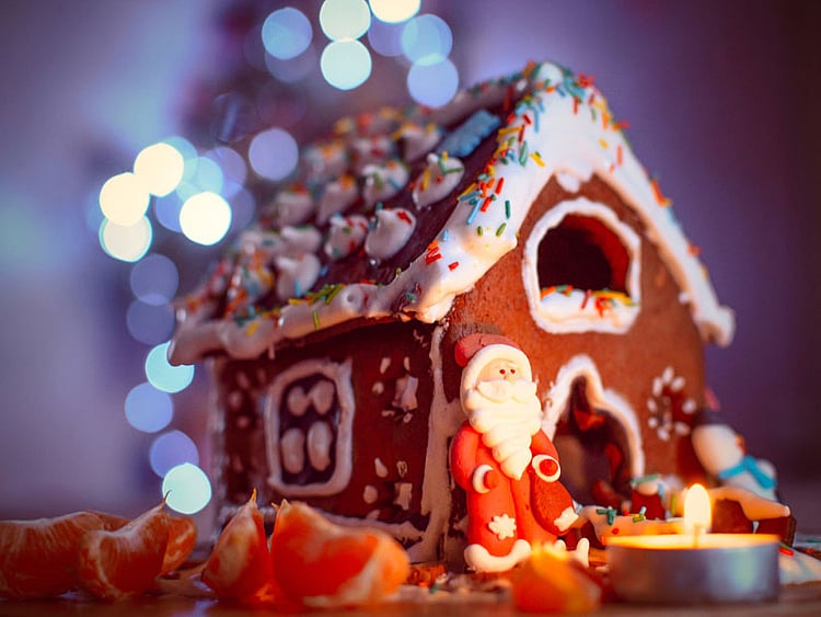 1.1949613-3638502925