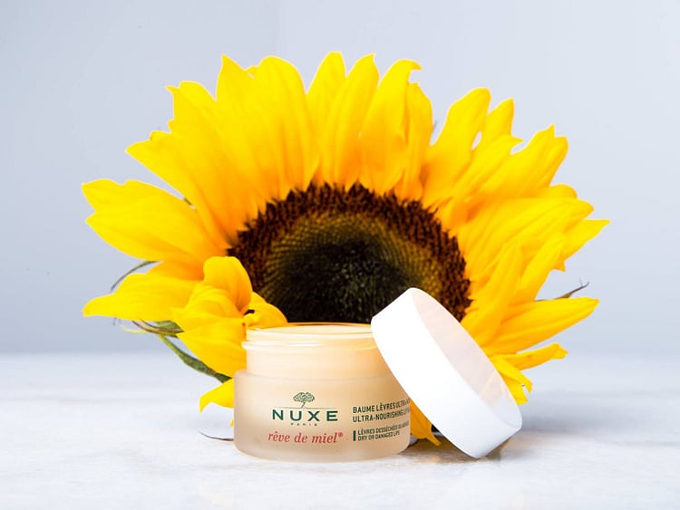 1.1949961-2831797059