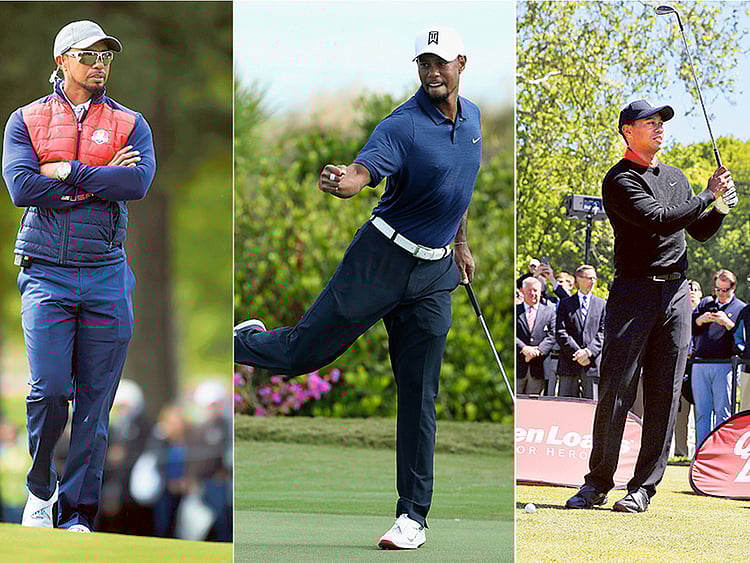 1.1950146-4142077372