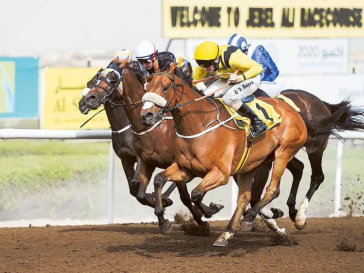 1.1950366-2873985577