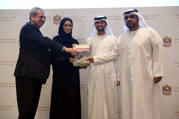 1.1950428-4210400115