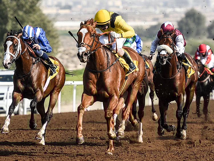 1.1950762-1054146388