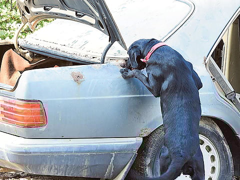 Atiq-ur-Rehman/Gulf News