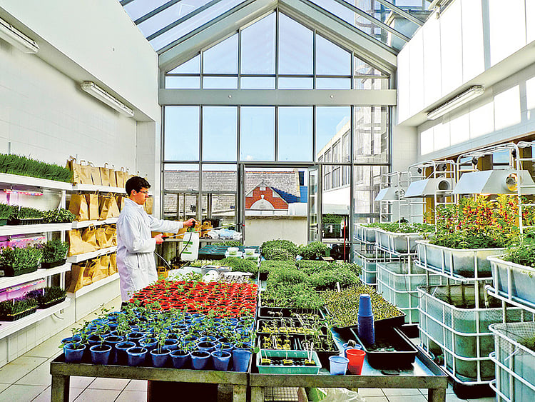 1.1950560-1818782978