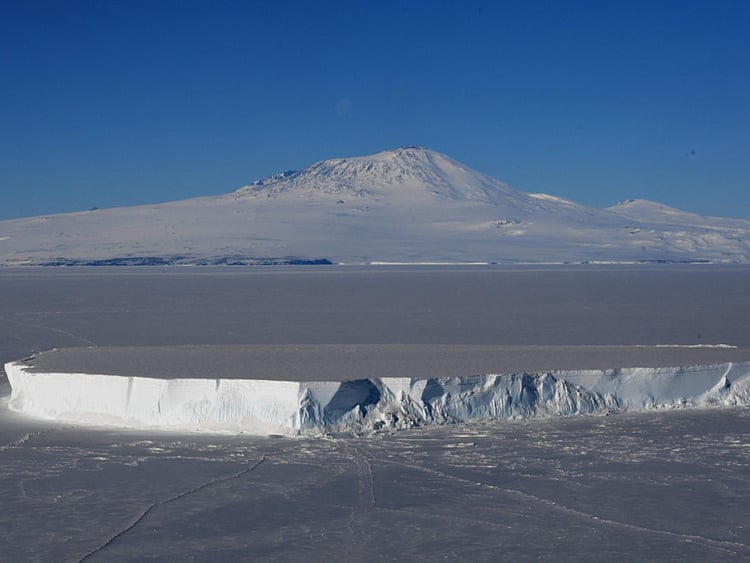 1.1950776-2234516753