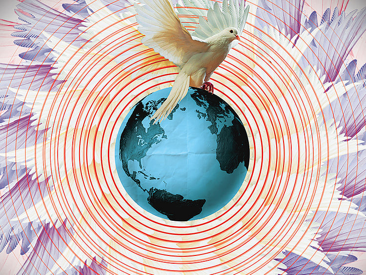 1.1950667-1907928142