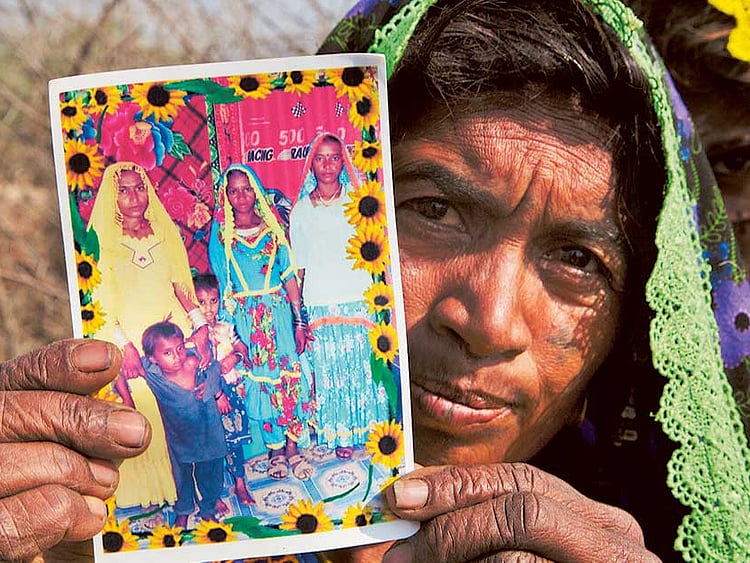 1.1951161-2768932352