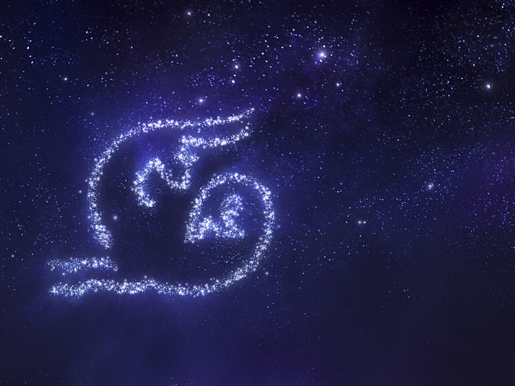 1.1954309-1113464295