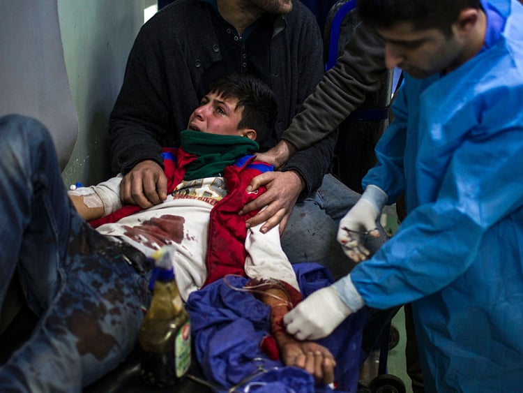 1.1951405-4289275749