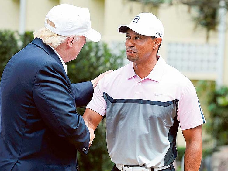 1.1951390-1219154339