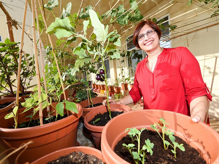 1.1952990-1971062194