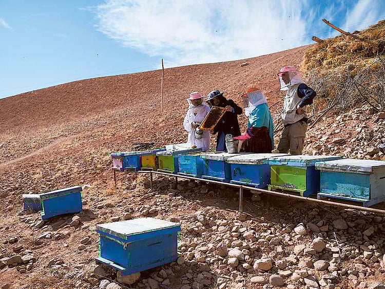 1.1953558-2544962262