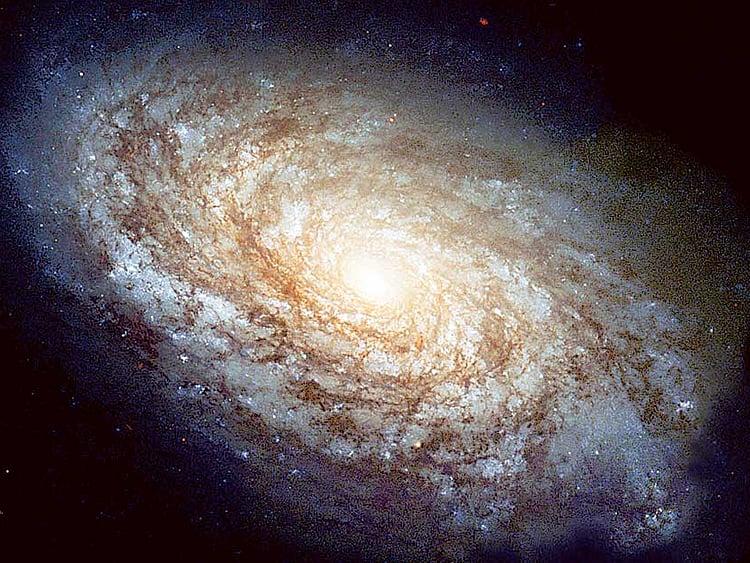 1.1939120-3208890849