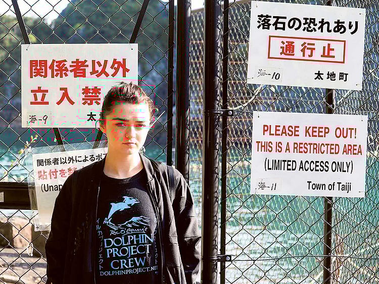 1.1939015-1818904554