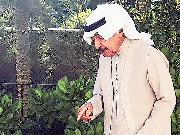 1.1954312-3017193677