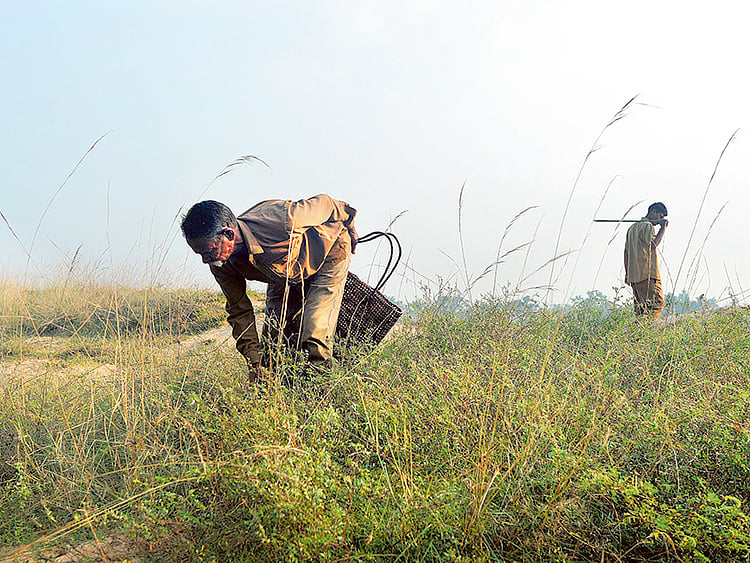 1.1939531-1460097963