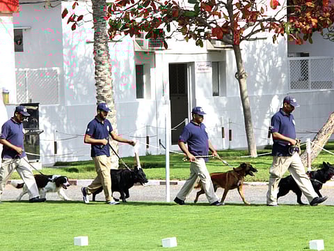 Image Credit: RAK Police 