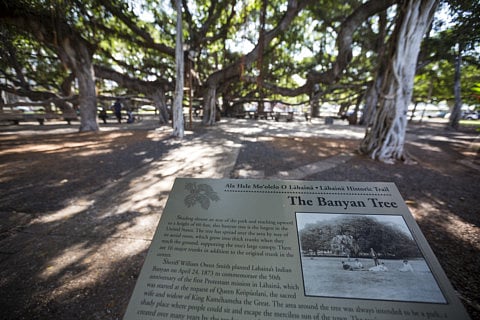 1.1940956-3306938029