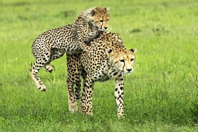 1.1941609-2043617876