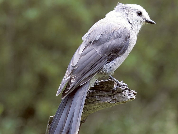 1.1942092-3808421178