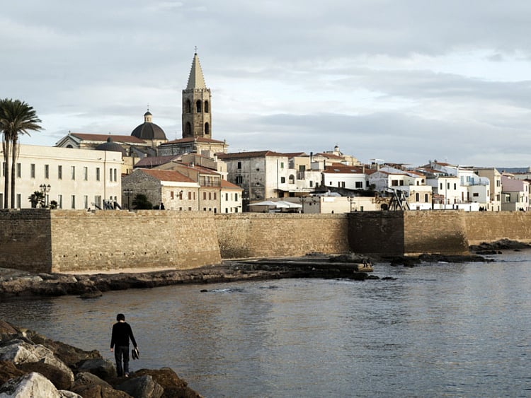 1.1942848-1676564574