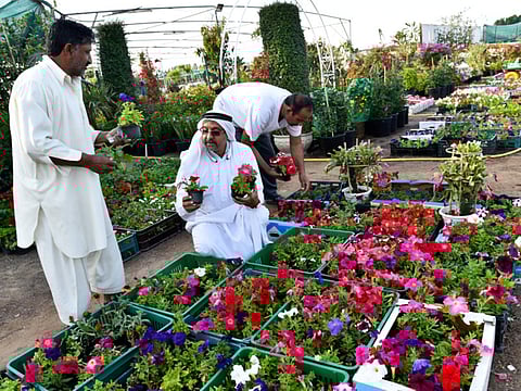 Virendra Saklani/Gulf News