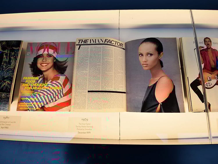 1.1670351-3919086729