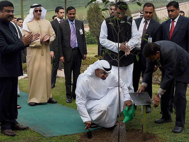 1.1672228-3781463874