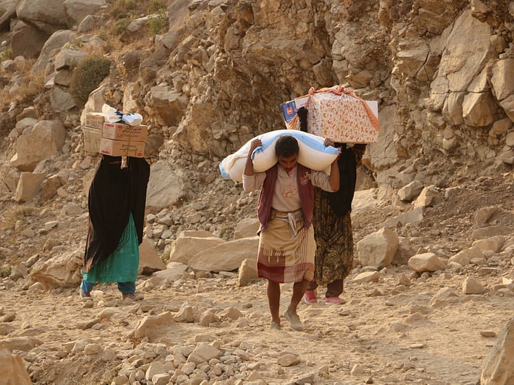 1.1671455-4080482811