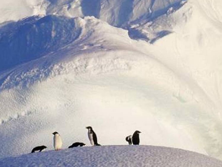 1.1672130-2737274333