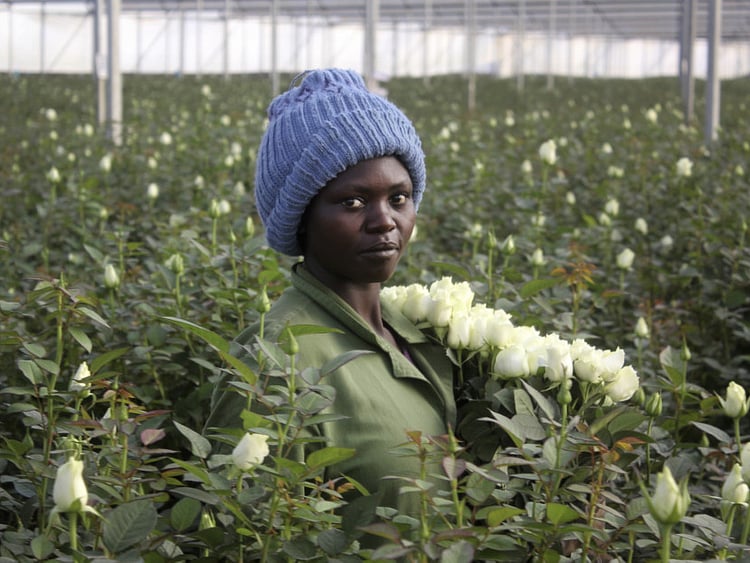 1.1671837-3298367598