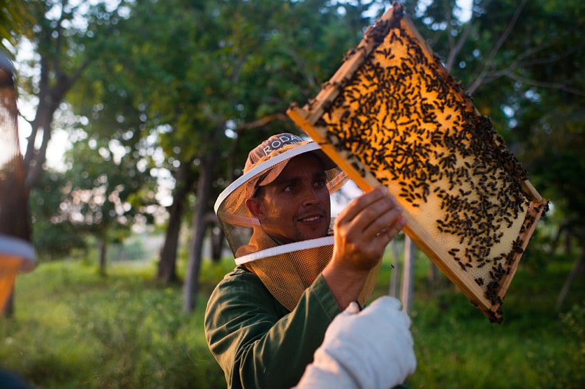 1.1672541-2116029860