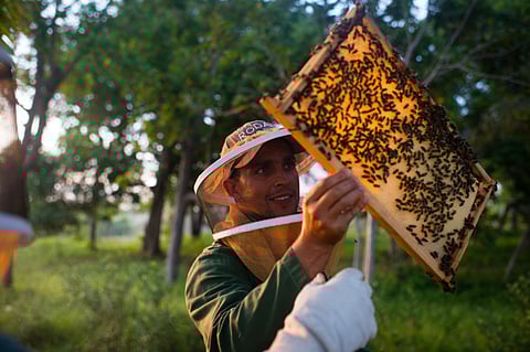 Washington Post/Getty