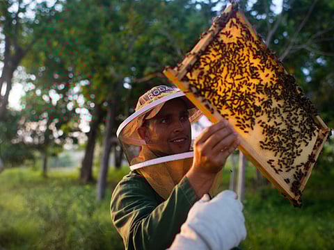 Washington Post/Getty