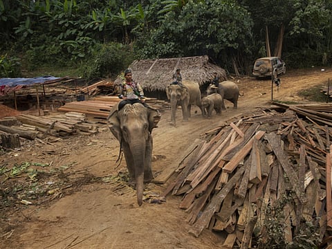 Adam Dean/New York Times