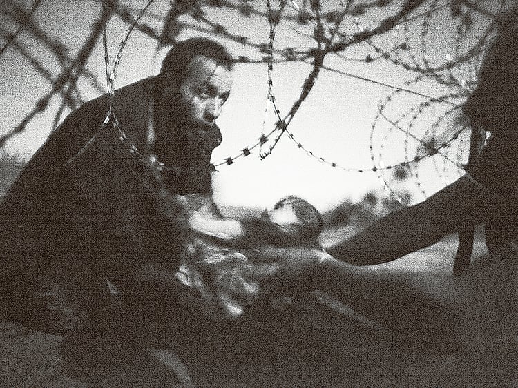 1.1675433-1637065102