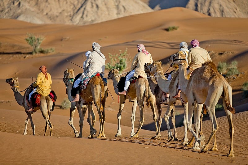 1.1664448-3621460472