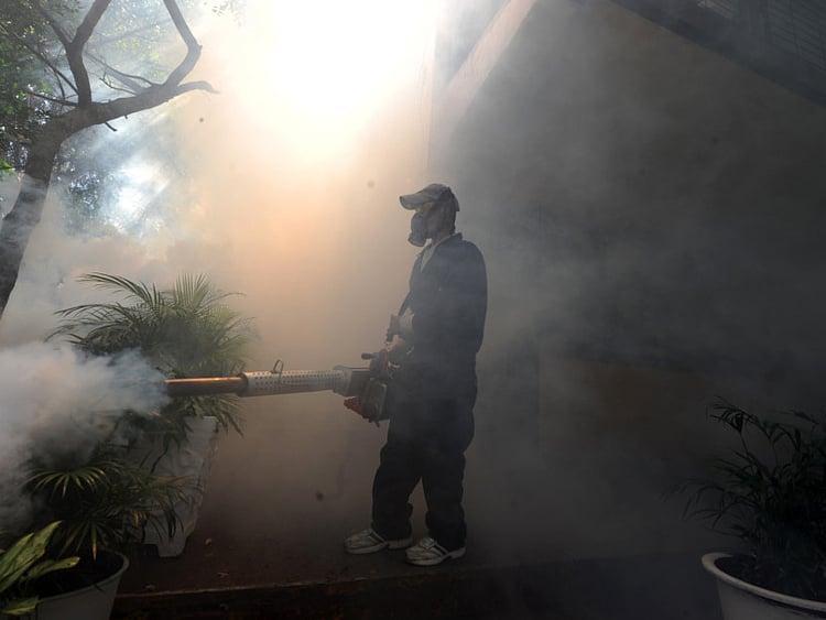 1.1664351-3485578925