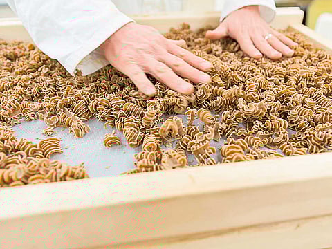 Inside the cutting-edge farms, companies rear squirming masses of crickets, mealworms and fly larvae within temperature-controlled plastic vats designed to help them grow quickly. They 