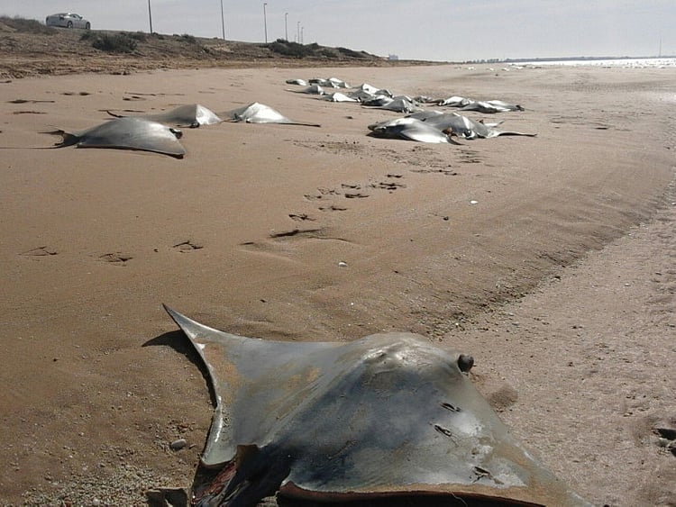 1.1679629-1930641382