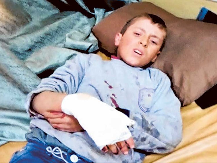 1.1676722-1642931406