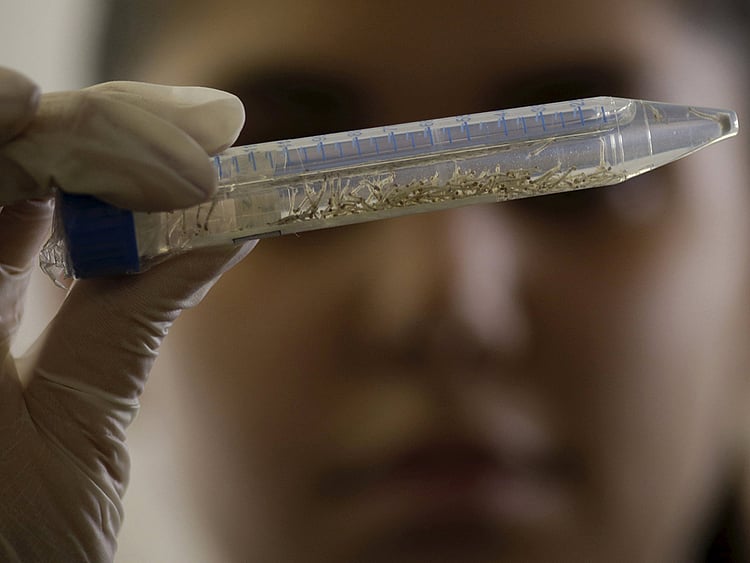 1.1863959-1944722841