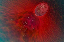 1.1666112-757486012