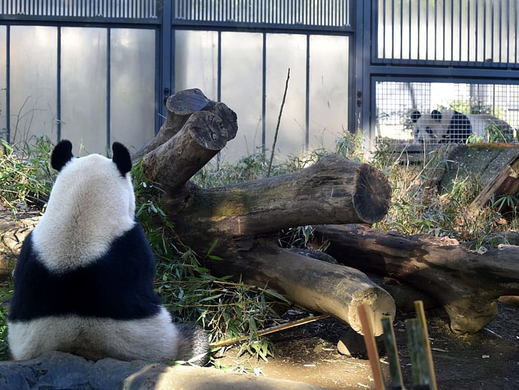 1.1665822-1878878428