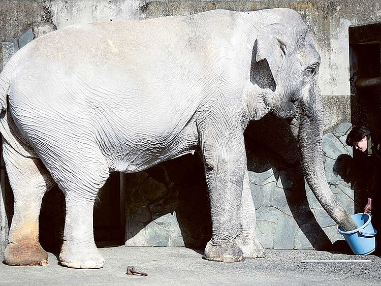 1.1667373-3963518071