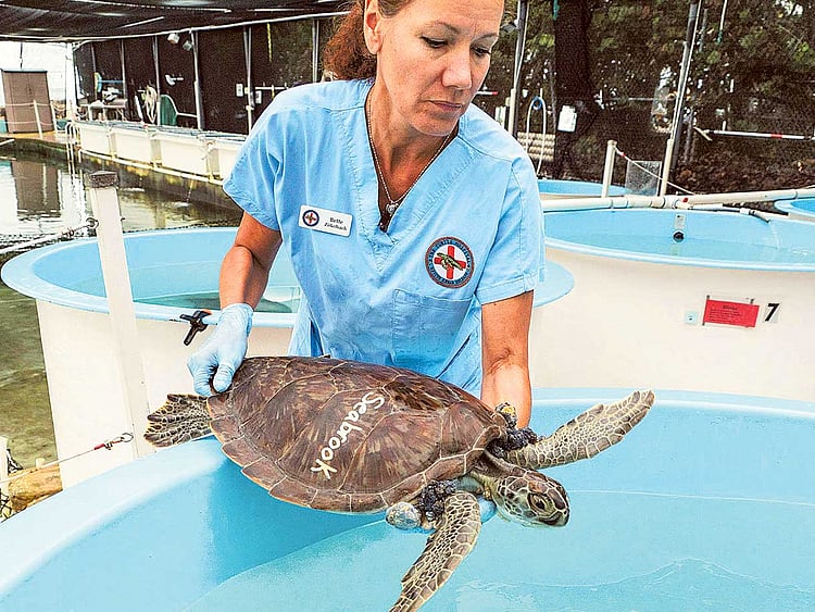 1.1668015-3512345458