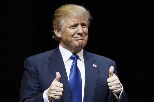 1.1669134-1801314085