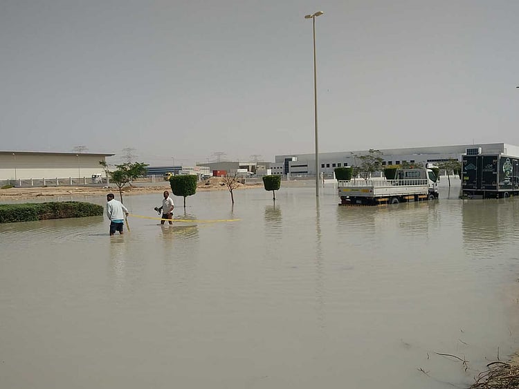 1.1688261-2923948796