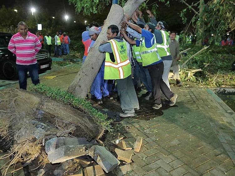 1.1687995-4162039339