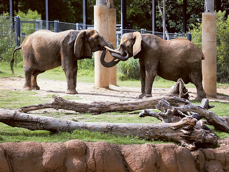 1.1688405-1916053231